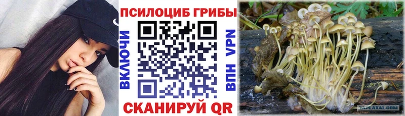 Псилоцибиновые грибы Psilocybe  наркота  Полярный 